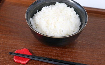 T rice Store 岐阜県産コシヒカリ 10kg
