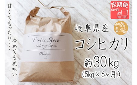 T rice Store 岐阜県産コシヒカリ（玄米） 約30kg(5kg×6回） | 岐阜県