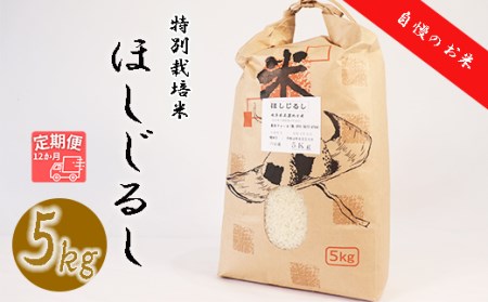 ≪令和6年産≫ 新米 【12か月定期便】 垂井町産 ほしじるし (5kg×12回）