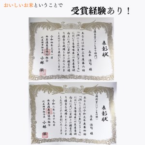 【6か月定期便】【特別栽培米】垂井町産ハツシモ(5kg×6回）