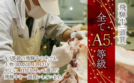 A5飛騨牛焼き肉セット(合計2.9kg)