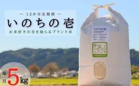 BI-30 【12か月定期便】【特別栽培米】垂井町産いのちの壱(5kg×12回)