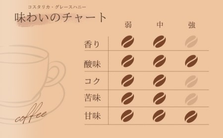 【自家焙煎】カフェ・フランドル コスタリカ・PNグレースハニー（200g・豆）