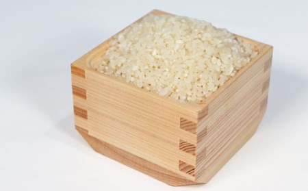 T rice Store 岐阜県産コシヒカリ 5kg