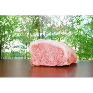名産飛騨牛ロース(A5等級)薄切り肉500g【配送不可地域：離島】【1352061】