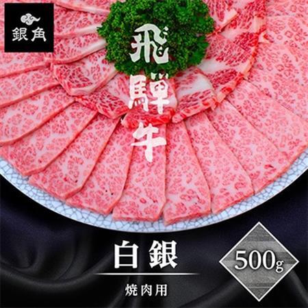 【飛騨牛】白銀焼肉用500g【配送不可地域：離島】【1686744】