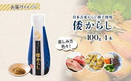 美ノ久 倭からし 100g×1本 和カラシ 和からし からし 調味料 アレンジ 香辛料 風味豊か 肉料理 野菜料理 魚料理 浅漬け 漬物 常備 すっきり 辛い 馴染みやすい 使いやすい 便利 万能 万能調味料 お取り寄せ ご当地 送料無料 岐阜県 安八町