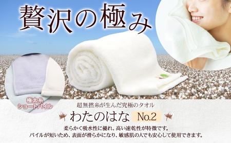 超無撚糸 タオル わたのはな No.2 サックス 約34×120cm 五分咲き 極太糸 ショートパイル むねんし 雑貨 日用品 パイル 日本製 綿100％ 柔らか 軽い ボリューム 吸水 風合い ハーフバスタオル プレゼント ギフト 贈り物 浅野撚糸 送料無料 岐阜県 安八町