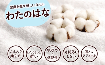 超無撚糸 タオル わたのはな No.4 春空 ライトブルー 約34×120cm 八分咲き 太糸 ショートパイル むねんし 雑貨 日用品 パイル 綿100％ 柔らか 軽い ボリューム 吸水 風合い ハーフバスタオル プレゼント ギフト 贈り物 浅野撚糸 送料無料 岐阜県 安八町