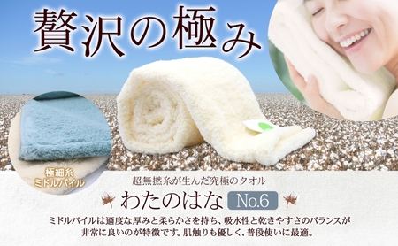 超無撚糸 タオル わたのはな No.6 約束 クローバー 約34×120cm 八分咲き 極細糸 ミドルパイル むねんし 雑貨 日用品 パイル 綿100％ 柔らか 軽い ボリューム 吸水 風合い ハーフバスタオル プレゼント ギフト 贈り物 浅野撚糸 送料無料 岐阜県 安八町