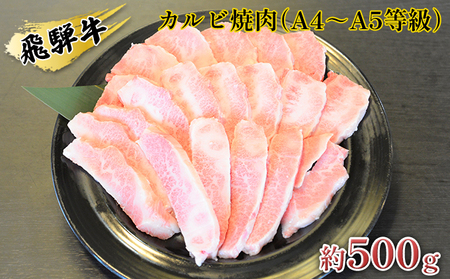 飛騨牛カルビ焼肉（A4～A5等級）約500g（約250g×2パック） お肉 牛肉 バーベキュー