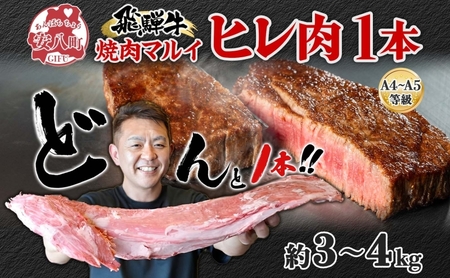 飛騨牛 ヒレ肉 ブロック A4～A5等級 1本 約3～4kg 3～4分割 ヒレ シャトーブリアン 肉 牛肉 ブランド牛 お肉 和牛 贅沢 お取り寄せ ご褒美 ステーキ 豪華 グルメ 焼肉 BBQ パーティー ギフト 贈り物 自家用 贈答用 焼肉マルイ 岐阜県 【 安八町 】