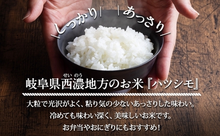 定期便 全3回 岐阜県 揖斐川町産 令和6年 ハツシモ 高橋米 10kg 1袋 お米 精米 白米 米 ごはん 米 ご飯 はつしも あっさり ブランド米 10キロ 大粒 幻の米 お取り寄せ 自家用 贈答用 産地直送 送料無料 高橋ファーム Takahashi Farm 揖斐川町