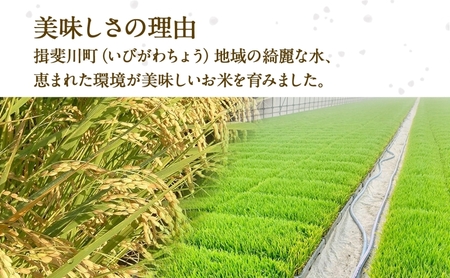 定期便 全3回 岐阜県 揖斐川町産 令和6年 ハツシモ 高橋米 10kg 1袋 お米 精米 白米 米 ごはん 米 ご飯 はつしも あっさり ブランド米 10キロ 大粒 幻の米 お取り寄せ 自家用 贈答用 産地直送 送料無料 高橋ファーム Takahashi Farm 揖斐川町