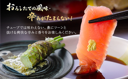 本わさび 月夜のなみだ 3～5本 計200g以上 生わさび わさび 山葵 ワサビ 本ワサビ 生ワサビ 薬味 野菜 新鮮 生 芋 根わさび 本格 刺身 わさび丼 ステーキ 産地直送 産直 DoINAKA 送料無料 岐阜県 揖斐川町