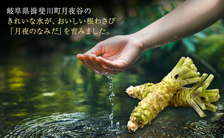 本わさび 月夜のなみだ 3～5本 計200g以上 生わさび わさび 山葵 ワサビ 本ワサビ 生ワサビ 薬味 野菜 新鮮 生 芋 根わさび 本格 刺身 わさび丼 ステーキ 産地直送 産直 DoINAKA 送料無料 岐阜県 揖斐川町