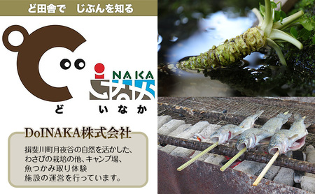 本わさび 月夜のなみだ 3～5本 計200g以上 生わさび わさび 山葵 ワサビ 本ワサビ 生ワサビ 薬味 野菜 新鮮 生 芋 根わさび 本格 刺身 わさび丼 ステーキ 産地直送 産直 DoINAKA 送料無料 岐阜県 揖斐川町