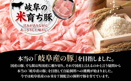 家族で営む豚農家の 生産直売 薄切り豚肉 詰め合わせ 1.6kg 肉  BBQ 焼肉 ポーク バラ モモ カタ スライス お鍋 料理 ギフト グルメ お取り寄せ 贈答用 自家用 菖蒲谷牧場 送料無料 岐阜県 揖斐川町