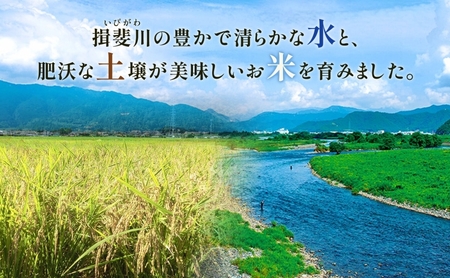 岐阜県 揖斐郡産 令和6年 味のいび米 はつしも 計20kg 10kg 2袋 お米 精米 白米 米 ごはん 米 ご飯 ハツシモ あっさり ふっくら ブランド米 大粒 幻の米 お取り寄せ 自家用 贈答用 贈り物 御礼 産地直送 送料無料 いび川農業協同組合【 揖斐川町 】