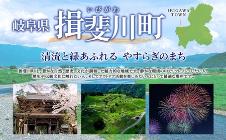 岐阜県 揖斐郡産 令和6年 味のいび米 はつしも 計20kg 10kg 2袋 お米 精米 白米 米 ごはん 米 ご飯 ハツシモ あっさり ふっくら ブランド米 大粒 幻の米 お取り寄せ 自家用 贈答用 贈り物 御礼 産地直送 送料無料 いび川農業協同組合【 揖斐川町 】