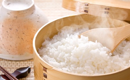 揖斐郡産　味のいび米はつしも精米10kg
