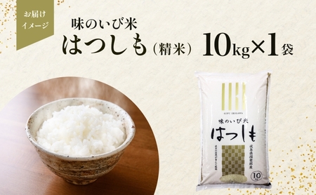 岐阜県 揖斐郡産 令和6年産 味のいび米 はつしも 10kg 1袋 お米 精米 白米 米 ごはん 米 ご飯 ハツシモ あっさり ふっくら ブランド米  10キロ 大粒 幻の米 お取り寄せ 自家用 贈答用 贈り物 御礼 産地直送 送料無料 いび川農業協同組合【 揖斐川町 】 