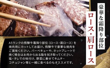 飛騨牛Ａ5 焼肉用 500ｇ ロース 又は 肩ロース 肉 ｜国産 肉 牛肉 焼肉 和牛 黒毛和牛 グルメ A5等級 おすすめ AD115【飛騨牛 和牛ブランド 黒毛和牛 肉 牛肉 和牛 焼肉 焼き肉 岐阜 大野町】