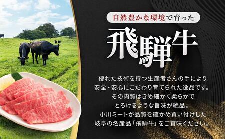 飛騨牛Ａ5 焼肉用 500ｇ ロース 又は 肩ロース 肉 ｜国産 肉 牛肉 焼肉 和牛 黒毛和牛 グルメ A5等級 おすすめ AD115【飛騨牛 和牛ブランド 黒毛和牛 肉 牛肉 和牛 焼肉 焼き肉 岐阜 大野町】