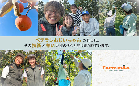 【先行予約】Farm m&aの富有柿 3L×10個 秀品 岐阜県 大野町（2025年11月下旬～発送）農家直送 果物 フルーツ 秋の味覚 柿 かき 富有 ふゆう