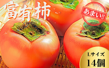 【先行予約】Farm m&aの富有柿 L×14個 秀品 岐阜県 大野町（2025年11月下旬～発送）農家直送 果物 フルーツ 秋の味覚 柿 かき 富有 ふゆう