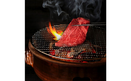 飛騨牛 肩ロース 500g 焼肉 【飛騨牛肩ロース 焼肉 和牛 ローススライス】