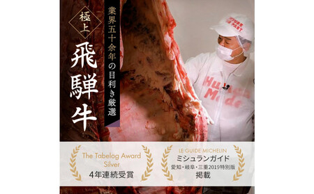 飛騨牛 肩ロース 500g 焼肉 【飛騨牛肩ロース 焼肉 和牛 ローススライス】