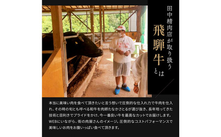 飛騨牛 肩ロース 1kg 焼肉