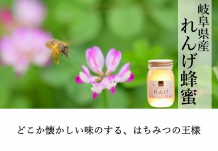 【数量限定】＜養蜂場からお届け＞国産れんげ蜂蜜（600ｇ）【はちみつ 国産蜂蜜】