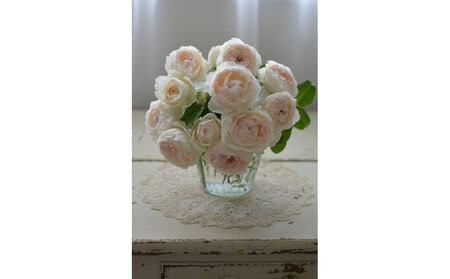 【先行受付】バラ鉢苗 ミエル・ドゥ・フォレ【2026年4月下旬より発送】河本バラ園