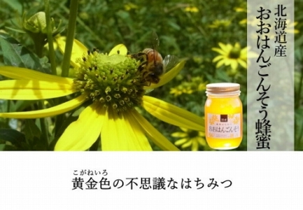 ☆味比べ☆国産 百花蜂蜜・おおはんごんそう蜂蜜（各600g×1本）【はちみつ 蜂蜜 ハチミツ 国産はちみつ 国産蜂蜜 百花はちみつ 百花蜂蜜 おおはんごんそう蜂蜜 国産 はちみつ味比べ】