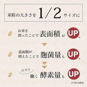 こうじや里村 米こうじ 300g×10個