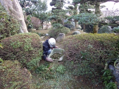 ふるさと実家近くのあんしん見守り隊（半日）