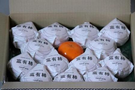 【特選品】岐阜県大野町産　富有柿 L 14個入り【2026年11月下旬～発送】