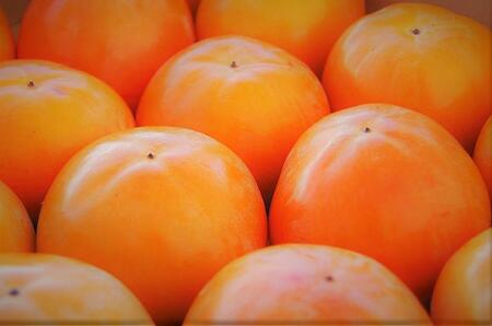 【先行予約：2024年11月中旬～発送】甘くておいしい岐阜の柿「富有柿」2L×12個（約3.3kg）