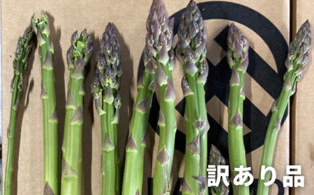 【訳あり】幻のアスパラ 本山農場のラスノーブル（グリーンアスパラ）1kg アスパラ | グリーン アスパラ 採れたて アスパラ 新鮮 アスパラ 旬 アスパラ 産地直送 アスパラ 野菜 アスパラ [010-192]