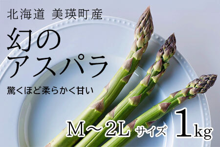 【令和7年産！】美瑛町幻のアスパラ 本山農場のラスノーブル（グリーンアスパラ）M～2Lサイズ 1kg アスパラガス | グリーン アスパラガス 採れたて アスパラガス 新鮮 アスパラガス 旬 アスパラガス 産地直送 アスパラガス[012-163]