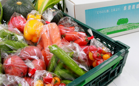 夏野菜セット ≪令和8年産予約受付≫ 北海道 [019-70]