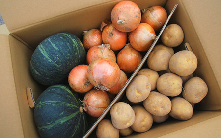 野菜セット 秋の味覚6点 旬の野菜 詰め合わせ ≪令和８年産予約受付！≫   [017-67]