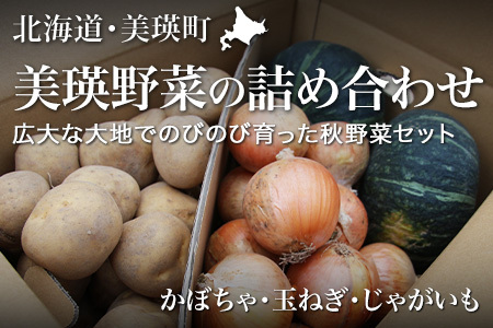野菜セット ≪令和８年産予約受付！≫美景農園　秋の野菜セット| 野菜セット [016-89]