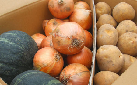 野菜セット ≪令和８年産予約受付！≫美景農園　秋の野菜セット| 野菜セット [016-89]