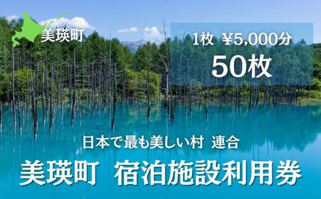 宿泊券 美瑛町 施設利用券50枚 | 宿泊券 北海道 [834-01]
