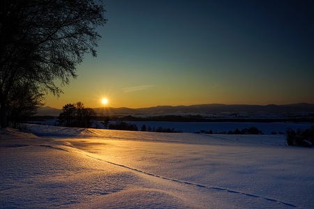 宿泊券 美瑛町 施設利用券30枚 | 宿泊券 北海道 [500-04]