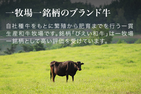 和牛 びえい 贅沢食べ比べギフト ～肉マニアに贈る～ ファームズ千代田   | 和牛 北海道  [031-05]