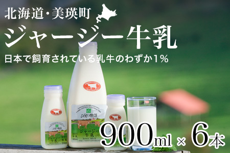 ジャージー牛乳 900ml×6本 ファームズ千代田 ジャージー牛乳 北海道   [022-38]